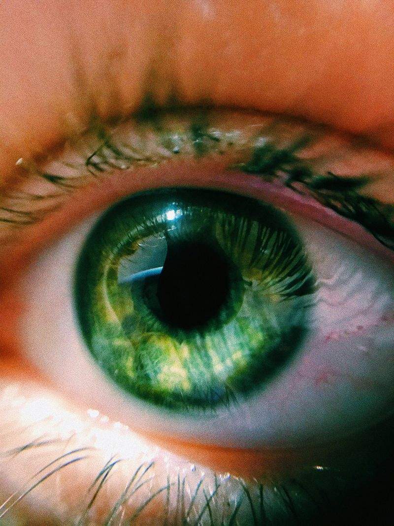 文化創造株式会社 - Image 6